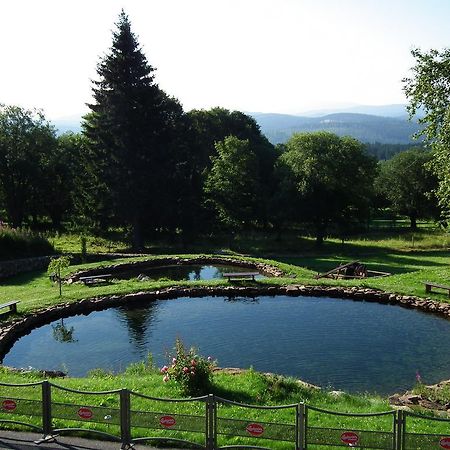 Hotel Alpska Vyhlidka Kvilda Dış mekan fotoğraf